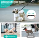Thumbnail 1 de 2er-Set verwicklungsfreie elastische Hundeleine schwarz 🐕