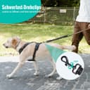 Thumbnail 3 de 2er-Set verwicklungsfreie elastische Hundeleine schwarz 🐕