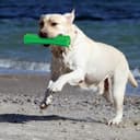 Thumbnail 3 de Alyxen Hundespielzeug 3er-Set Kauspielzeug für Hunde 🐶