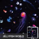 Thumbnail 5 de Aurora & Tiefsee Scheiben für POCOCO Galaxy Projektor 5K Ultra HD 💡