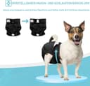 Thumbnail 1 de Avont Wiederverwendbare Hundewindeln 3 Stück 🐶