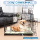 Thumbnail 4 de Baodan Hundebett Grosse Hunde 122x75 cm XXL 🐶