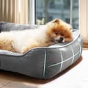 Thumbnail 2 de BEDSURE Katzenbett groß waschbar 63.5x53 cm 🐱