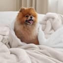 Thumbnail 1 de BEDSURE Kuscheldecke 130×150 cm – Sherpa Wohndecke 🛋️