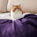 Thumbnail 1 de BEDSURE Kuscheldecke 230×270 cm, Wohndecke, violett 🛋️