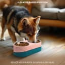 Thumbnail 5 de Belle Vous Rosa erhöhter Hundenapf 2×350 ml 🐶