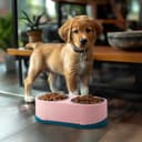 Thumbnail 6 de Belle Vous Rosa erhöhter Hundenapf 2×350 ml 🐶
