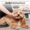 Thumbnail 4 de CABBRIX Holz-Fellpflegebürste für Hunde und Katzen 🐶