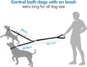 Thumbnail 3 de Edipets Doppelleine für zwei Hunde, ausziehbar, 360° 🐕