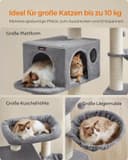 Thumbnail 2 de Feandrea PCT01W Kratzbaum XXL für große Katzen 🐱