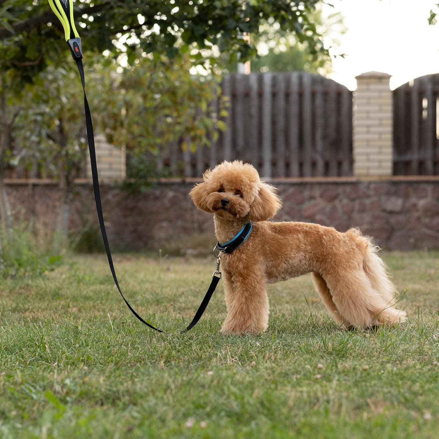 Ferplast ERGOFLUO C15/33 ergonomisches Hundehalsband 🎧