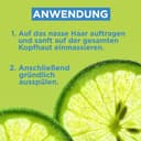 Thumbnail 3 de Garnier Fructis Kraft und Glanz Shampoo 1000 ml 🧴