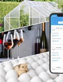 Thumbnail 6 de Govee WLAN Thermometer Hygrometer 50 m Reichweite 🌡️