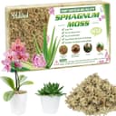 Thumbnail principal de Halatoo Sphagnum Moos 170 g für Orchideen und Pflanzen 🌿