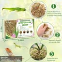 Thumbnail 1 de Halatoo Sphagnum Moos 170 g für Orchideen und Pflanzen 🌿