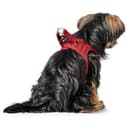 Thumbnail 5 de HUNTER Hundegeschirr Love XS–S, Lederrot ❤️🐶🐕 🐾🎽🐶📷