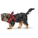 Thumbnail 7 de HUNTER Hundegeschirr Love XS–S, Lederrot ❤️🐶🐕 🐾🎽🐶📷