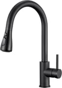 Thumbnail principal de Küchenarmatur Ausziehbar 45 cm 🚰