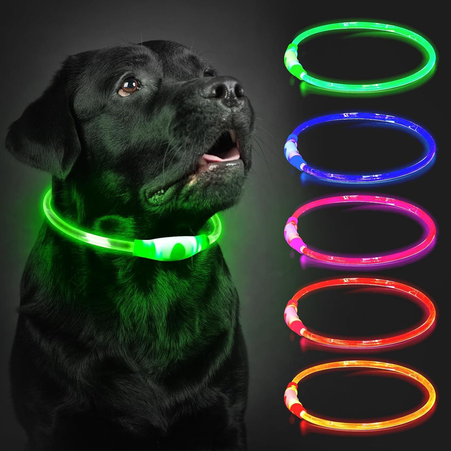 Leuchthalsband Hund 70 cm, wiederaufladbar, LED 🐶