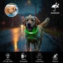 Thumbnail 4 de Leuchthalsband Hund 70 cm, wiederaufladbar, LED 🐶
