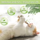 Thumbnail 3 de MarverFace Katzenminze Sticks 21er Pack 🎧