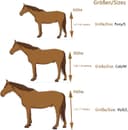 Thumbnail 4 de Merauno Gamaschen Pferde 4er Set, Neopren Schutz 🐴