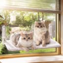 Thumbnail principal de MEWOOFUN Weiche Katzen fensterhängematte – 54x30cm faltbares Katzen fensterbett mit wendbarer Matte, stabile Katzenhängematte hält bis zu 18kg (beige, L)
MEWOOFUN Weiche Katzen fensterhängematte – 54x3…
