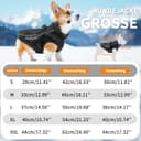 Thumbnail 2 de PcEoTllar Hundemantel wasserdicht, reflektierend 🐶