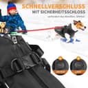 Thumbnail 5 de PcEoTllar wasserdichter Hundemantel für kleine Hunde 🐶