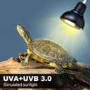 Thumbnail 6 de PewinGo Schildkröte Wärmelampe, Wärmespotlampe für Aquarium Reptil mit 2 UVA UVB Basking Spot Glühbirnen und 360°Schwenkklemme für Schildkröte, Schlange, Eidechse usw, Orangefarbenes Licht
PewinGo Schildkröte Wärmelampe, Wärmespot…