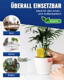 Thumbnail 3 de PIC Gelbsticker 60x Gelbtafeln gegen Trauermücken 🪰