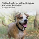 Thumbnail 6 de PUPTECK Hundesocken 2 Paar Anti-Rutsch für Böden 🐾