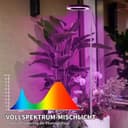 Thumbnail 4 de Qoolife Pflanzenlampe LED Vollspektrum, 72 LEDs, höhenverstellbar 🌱