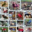 Thumbnail 1 de Savlot Hundejacke 3XL Winterweste für Hunde 🐶