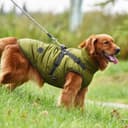 Thumbnail 3 de Savlot Hundejacke Winterweste Jacken Hundemantel Hundepullover Haustier Skifahren Kostüm Ärmellose Baumwolle Gepolsterte Weste Mit Brustgurt Gurt - Grün, XXL
Savlot Hundejacke Winterweste Jacken Hund…