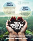 Thumbnail 8 de Sphagnum Botanicals Psoriasis Shampoo 400 ml 🧴