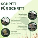 Thumbnail 1 de Sprossenzauber Sprossenglas 2er Set 500 ml – Keimglas 🌱