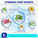 Thumbnail 4 de Stammzellenserum Gesicht Körper Micro Needling Ampulle ⌚