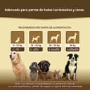 Thumbnail 1 de Veddelholzer Gelenktabletten für Hunde 125 Kapseln 🐶