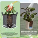 Thumbnail 4 de VIEWALL 20 L Pflanzsack Stoff — Kartoffelsack 5er-Set 🪴