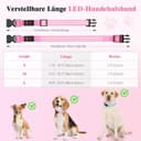Thumbnail 2 de Weesiber Leuchthalsband Hund LED, aufladbar, M 🎧