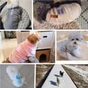 Thumbnail 5 de Wintermantel Hund klein mit D-Ring blau 🐶