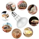 Thumbnail 6 de Adiwo Lampe Chauffante 50W pour tortue 📷