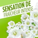 Thumbnail 3 de AJAX Nettoyant Multi Surfaces Fête des Fleurs ⚙️