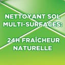 Thumbnail 5 de AJAX Nettoyant Multi Surfaces Fête des Fleurs ⚙️