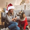 Thumbnail 4 de Bonnet CITÉTOILE Père Noël velour ⌚