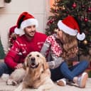 Thumbnail 5 de Bonnet CITÉTOILE en velours, décor pour fête 🎄