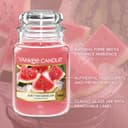 Thumbnail 3 de Bougie Yankee Candle Pastèque juteuse 🕯️