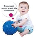 Thumbnail 4 de BSM Edushape Grande Balle sensorielle 6M ⚡