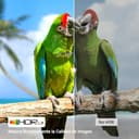 Thumbnail 2 de Câble HDMI UGREEN 2.1 48Gbps ⚡